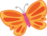 butterfly 3